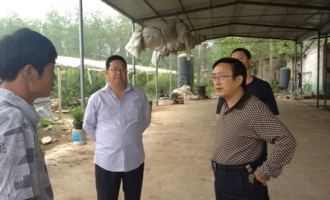 江苏省园艺站副站长顾鲁同到泗阳调研食用菌产业发展 ()