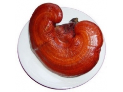 供应南韩灵芝 韩芝 带孢子粉新鲜灵芝 统货图1