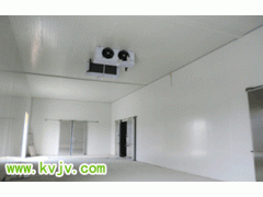 茶树菇冷库栽培,茶树菇冷库保鲜图1