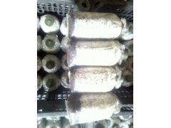 供应食用菌原种、茶树菇、金针菇、香菇、平菇二级菌种等图2