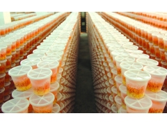 批发出售新鲜虫草 虫草花 蛹虫草图3