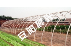 蔬菜大棚骨架图1