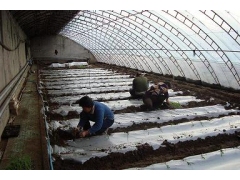 温室大棚骨架图1