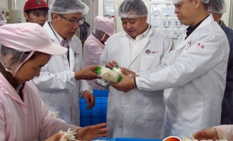 中国食品土畜进出口商会边振瑚会长和杨胜军副会长在沪调研食用菌生产企业 ()