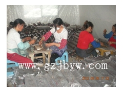 贵州平菇香菇金针菇等食用菌技术培训图1