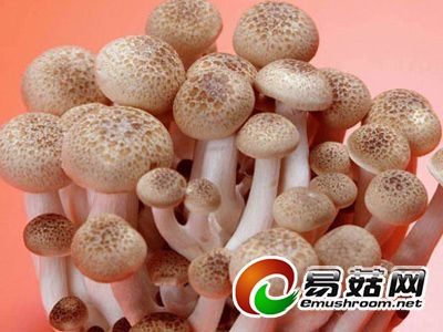 點(diǎn)擊圖片瀏覽更多精彩內(nèi)容