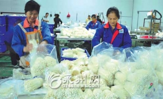 祥瑞生物将投资12亿元打造全球最大的食用菌生产加工企业 ()