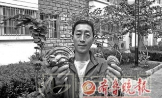 济宁：捡到灵芝不要盲目食用 ()