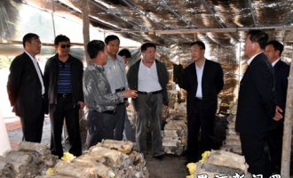 黑河市建设农场年产食用菌鲜品68万公斤 ()