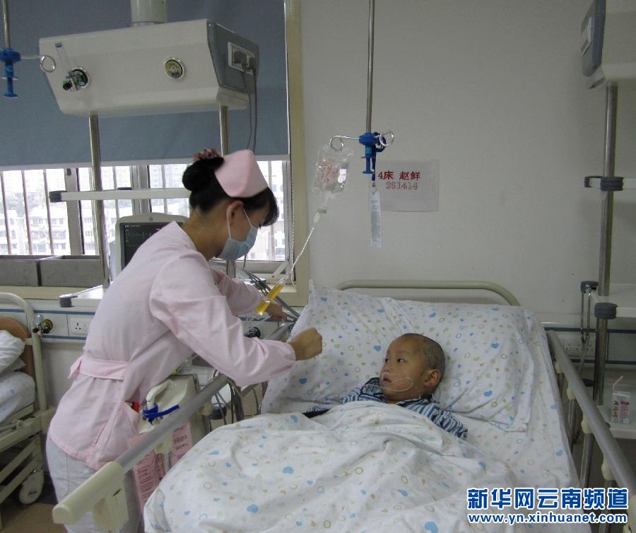 （新华网）云南镇雄县一家9口食野生蘑菇中毒致5人死亡　4人在贵州抢救