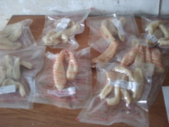 天麻种子。天麻种植技术图1