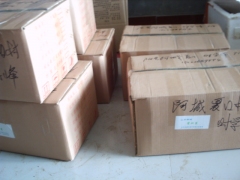 天麻种子。天麻种植技术图2