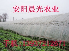 草莓种植大棚骨架 大棚卷膜器图1