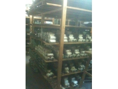 供应茶树菇，杏胞菇，银耳，金针，平菇，秀珍菇，黑木耳等菌种图1