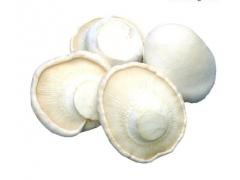 白灵菇最新价格 最新行情 河北白灵菇图2