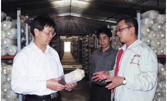 福建食用菌产业发展分析与转型升级对策建议 ()