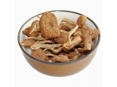 茶树菇|年货|节日礼品图2