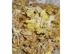 黄金菇|年货|节日礼品图2