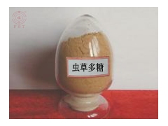 冬虫夏草多糖虫草多糖图1