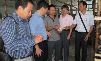 广西农科院微生物所赴桂东南开展食用菌秋季生产调研与指导工作 ()