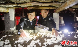 济南：警民共建“无公害”食用菌基地 ()
