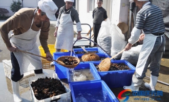 江源菇品公司的食用菌产品远销东南亚及欧美 ()