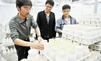 陈金卫：食用菌种植二次创业 建全国最大蕈菌生产基地 ()