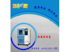 LRHS-101B-LH温湿度控制箱图1