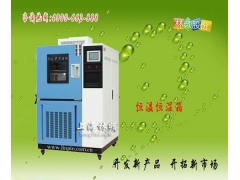 LRHS-101B-LH温湿度控制箱图2