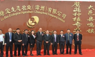 福建绿宝集团与大邑县鸣镇蘑菇种植专业合作社揭牌仪式隆重举行 ()