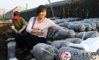 开封市县区农民利用农闲发展食用菌生产 ()