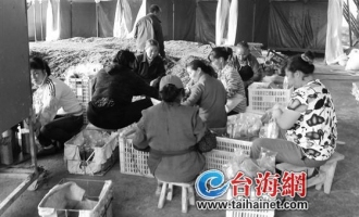 泰宁县食用菌大棚产出致富菇 有望直销厦门 ()