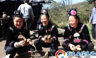 李世章：天麻种植产量超10万斤 总收入超200多万元 ()
