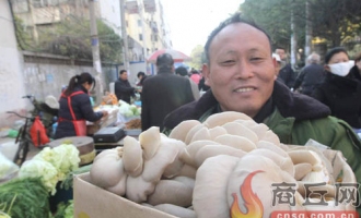 商丘市各种食用菌上市 蘑菇新鲜散清香 ()