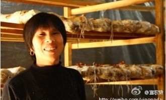 宜农贷帮助食用菌种植户改善生活 ()