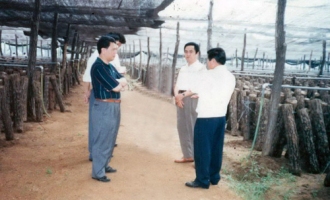 林明城：“香菇林”创业路 ()