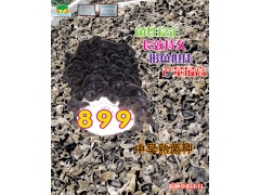 黑龙江绿康源食用菌研究所图1