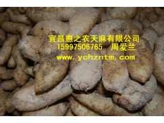 乌红杂交0代种图2