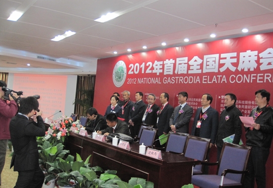 2012年首届全国天麻会议：开幕式 (10)