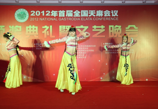 颁奖典礼、文艺晚会：舞蹈：藏族舞-吉祥如意 (6)