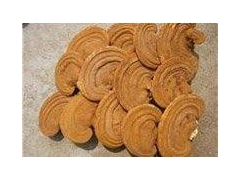 供应泰山赤灵芝图1