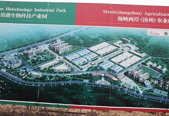 漳浦金针菇瓶栽工厂（一） (6)