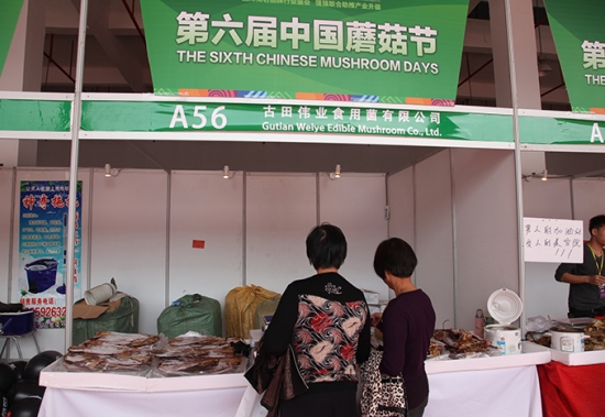 第六届中国蘑菇节：古田伟业食用菌有限公司 (1)