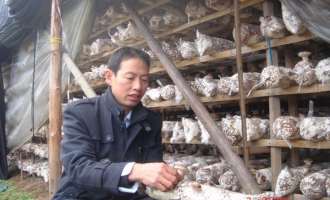 盧紅寶的28年種菇史 ()