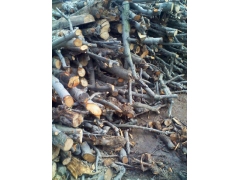 陕西食用菌原料图1