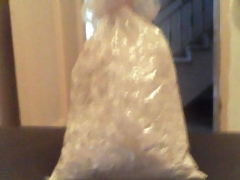 蘑菇（双孢菇）菌种出售图1