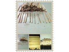 菌种接种枝条图1