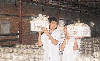 彈藥站建食用菌生產(chǎn)區(qū)豐富官兵菜籃子 ()