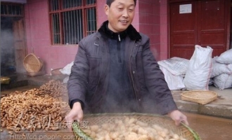 重慶黔江區(qū)龍溪村村支書帶領村民發(fā)展天麻產(chǎn)業(yè)實現(xiàn)雙贏 ()