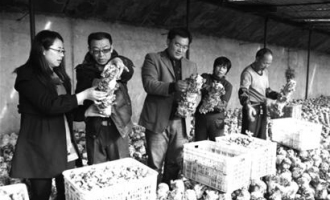 即墨市七級鎮(zhèn)每個食用菌大棚純年收入8萬元 ()